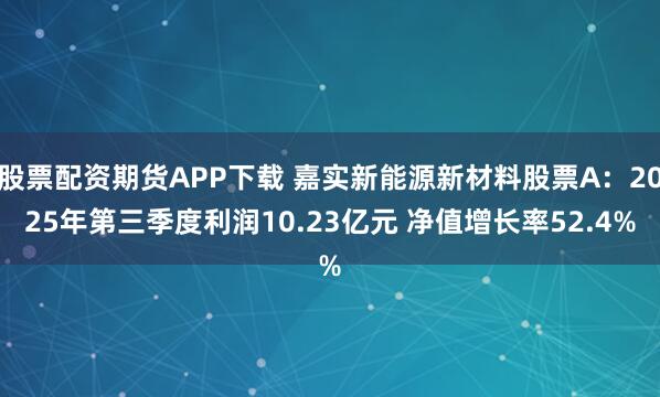 股票配资期货APP下载 嘉实新能源新材料股票A：2025年第三季度利润10.23亿元 净值增长率52.4%