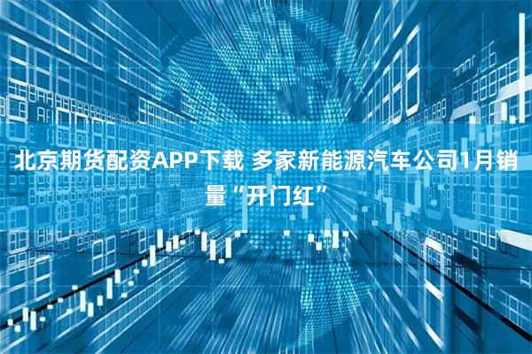 北京期货配资APP下载 多家新能源汽车公司1月销量“开门红”